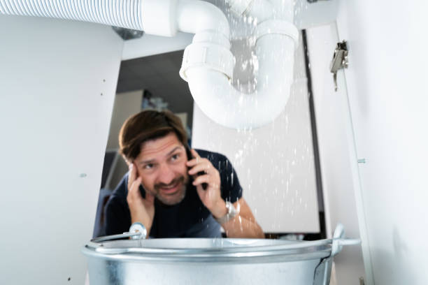 Best Leak Detection Services  in Mount Ida, AR
