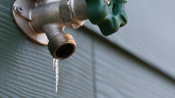 Sprinkler Systems in Mount Ida, AR
